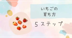 いちご　育ち方